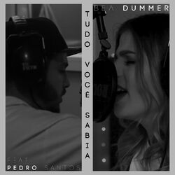 Cover of Tudo Você Sabia