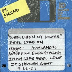 Cover of Avalanche