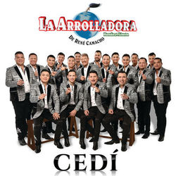 Cover of Cedí