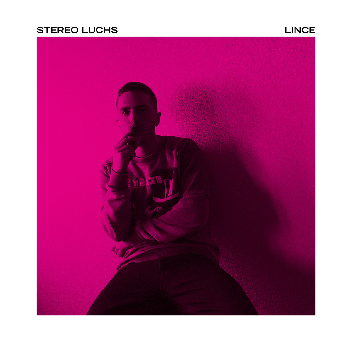 Album cover of LINCE