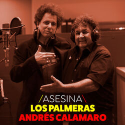 Cover of Asesina