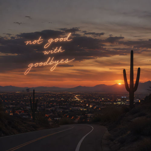 Not good with goodbyes