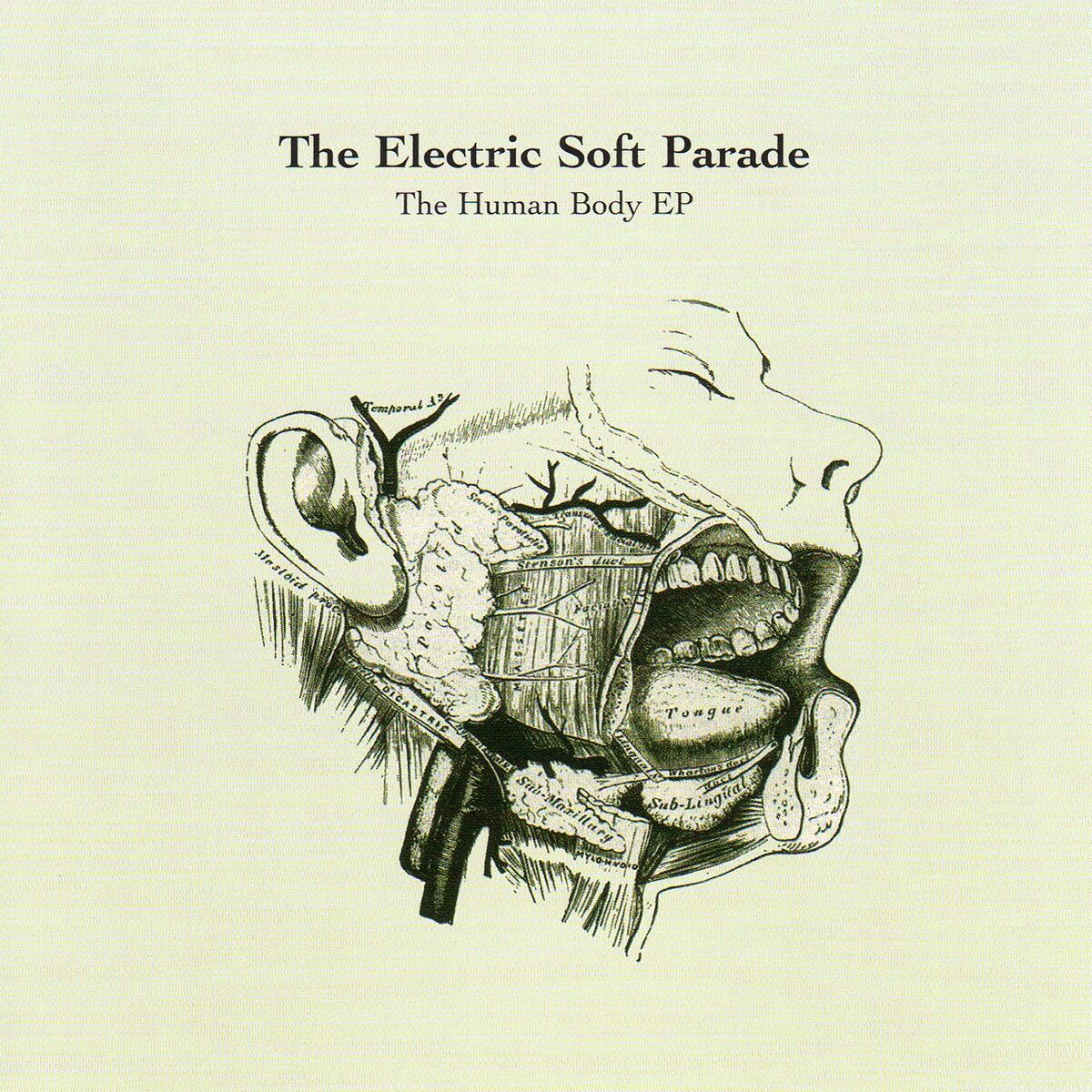 The Electric Soft Parade: albums, songs, concerts | Deezer The Electric Soft Parade: albums, songs, concerts | Deezer