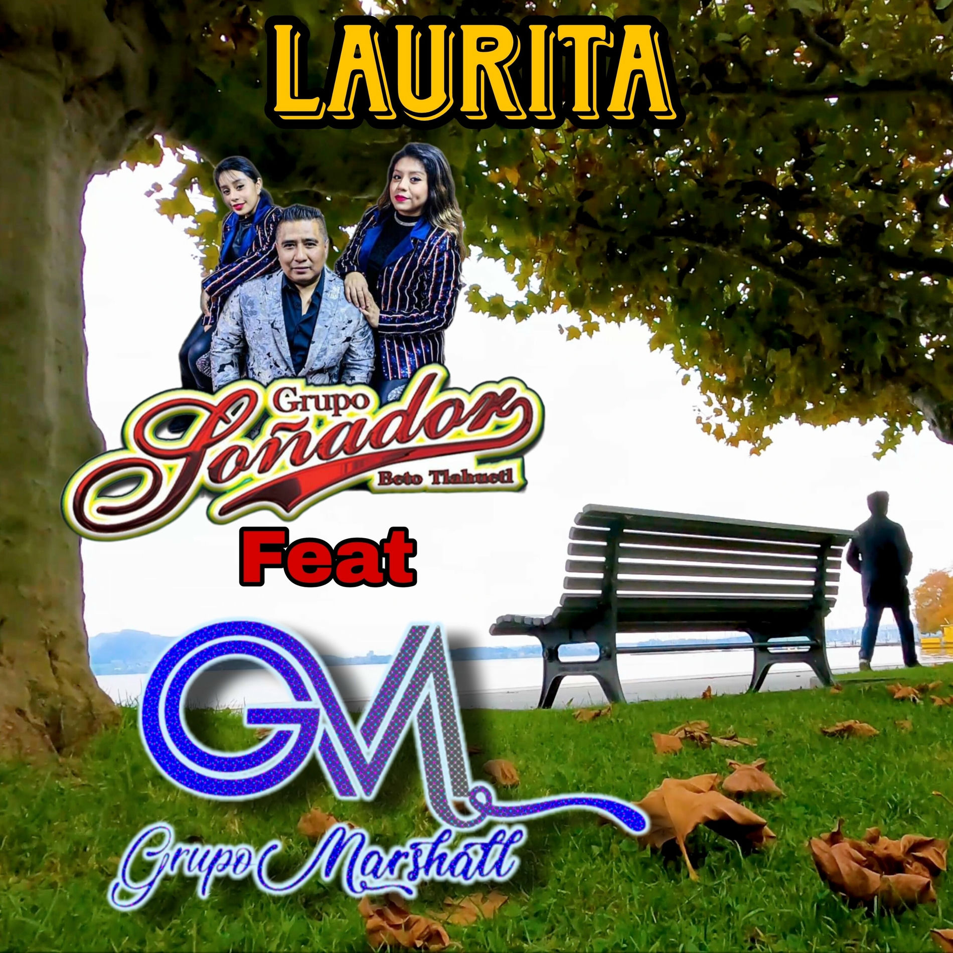 Album cover of Laurita