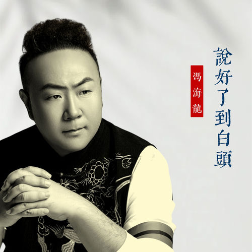 说好了到白头 (DJ版)