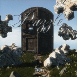 Cover of Puzzle