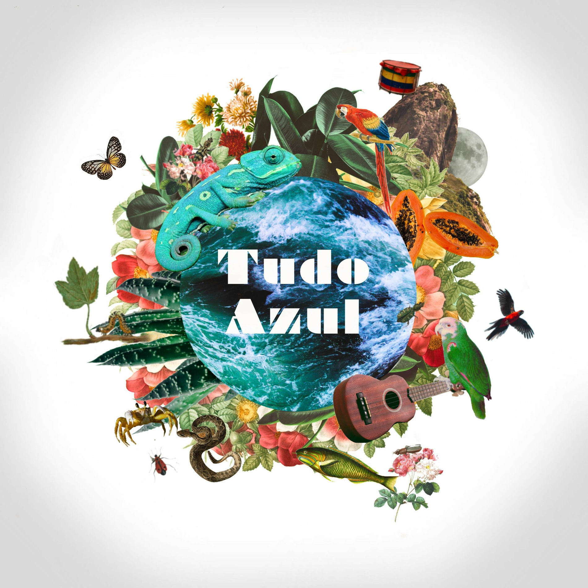 Album cover of Tudo Azul