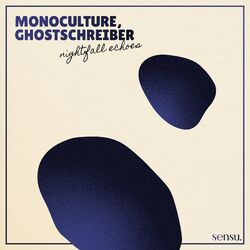 Cover of Nightfall Echoes
