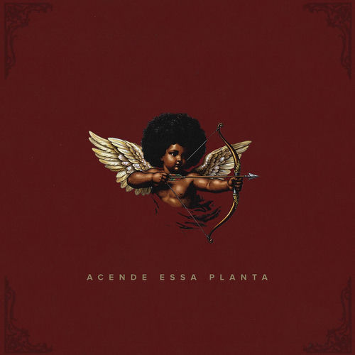 Acende essa planta