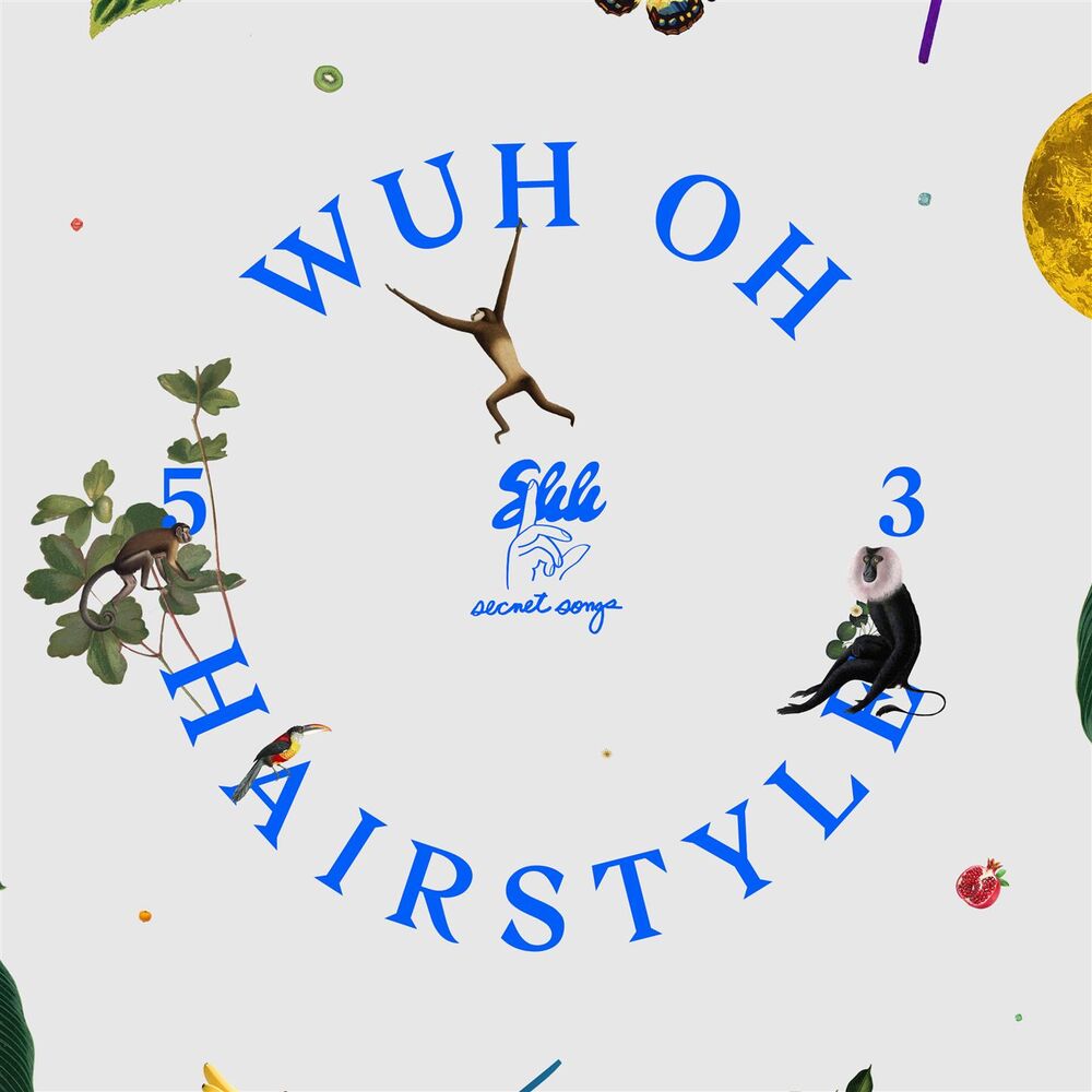 Picture of Hairstyle