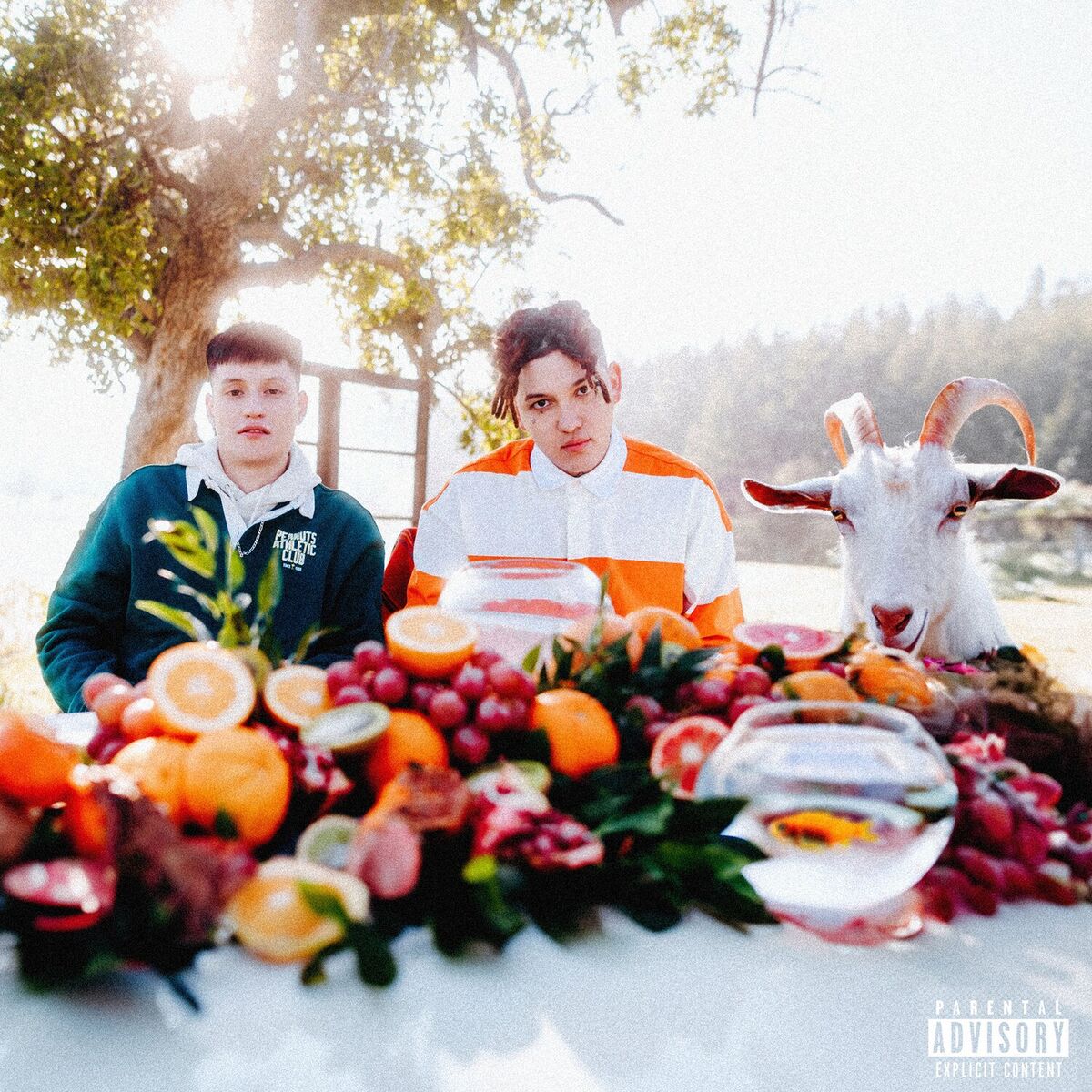 Album cover of BITCH, TRANQUILA
