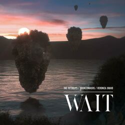 Cover of Wait