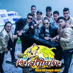 Cover of Que Te Vaya Mal