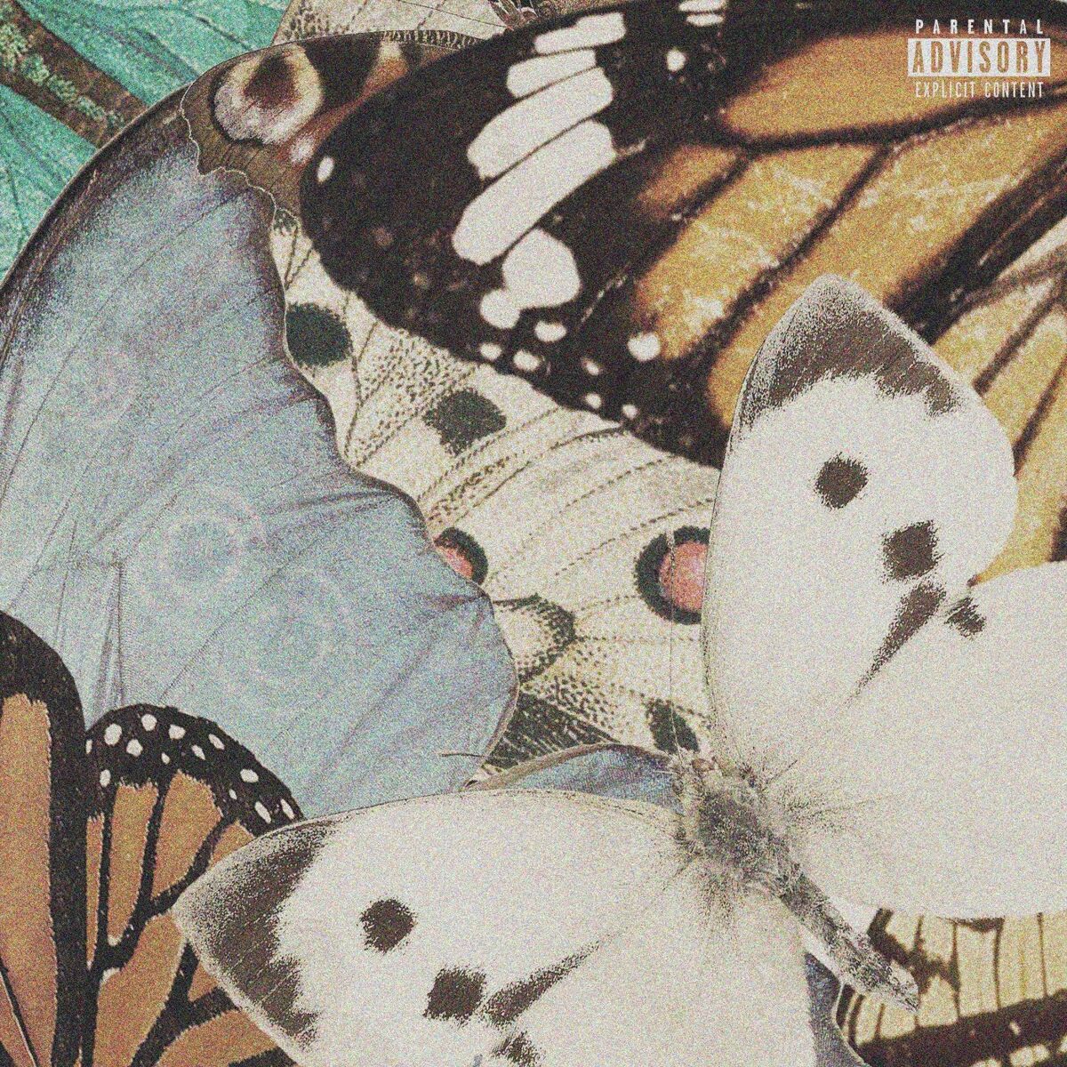 Album cover of Zemren Ma More