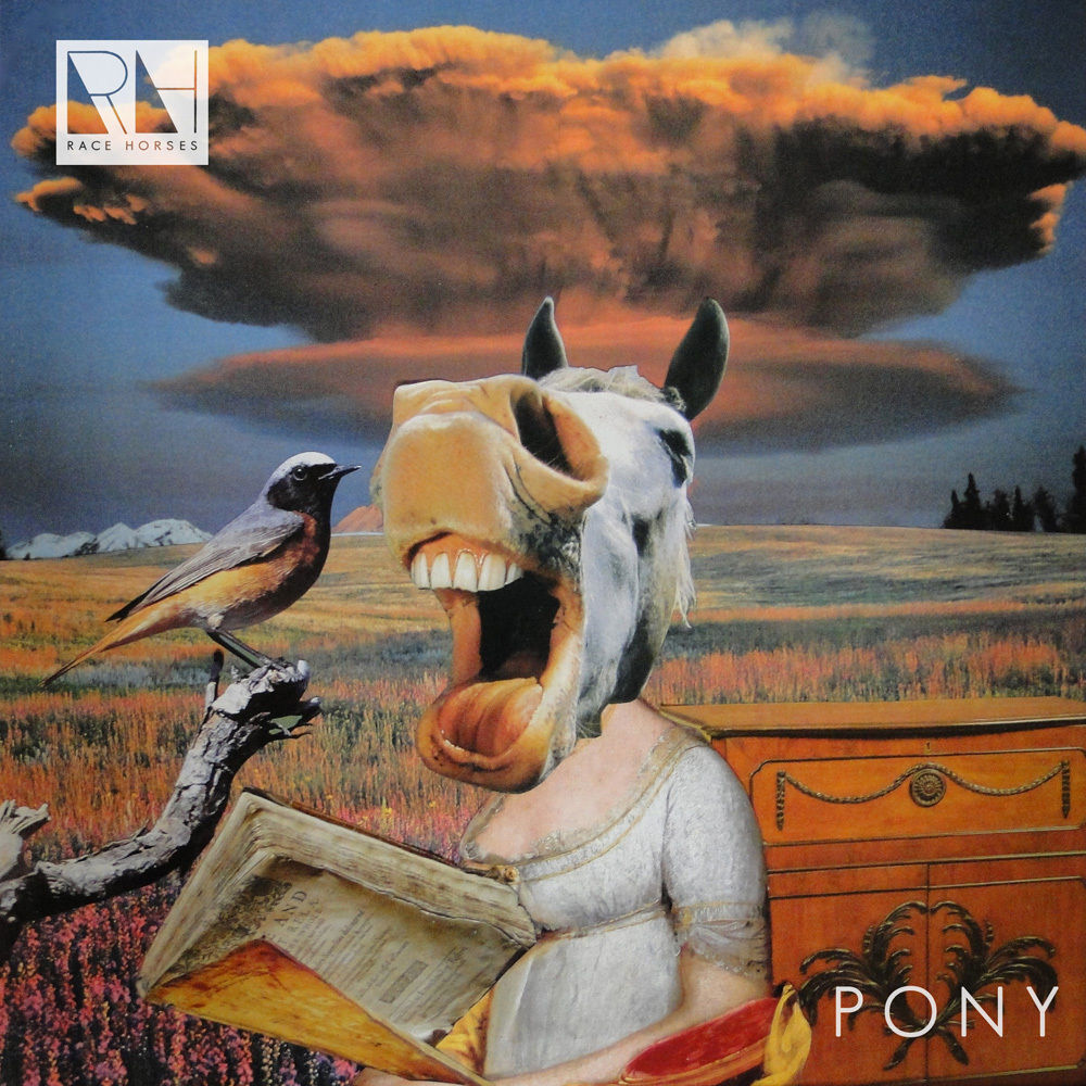 Picture of Pony
