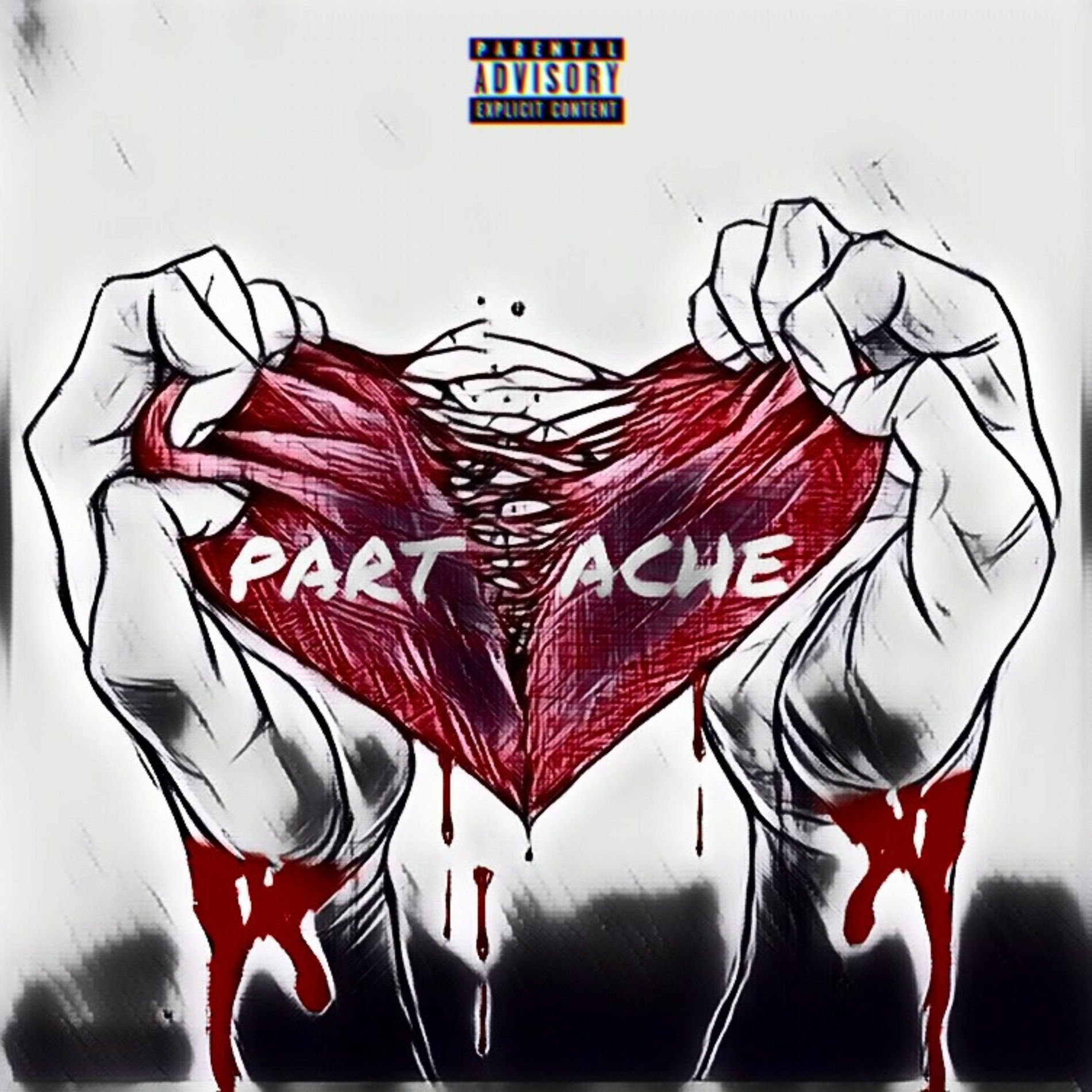 Album cover of Partache