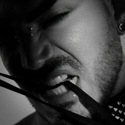 Cover of FACE