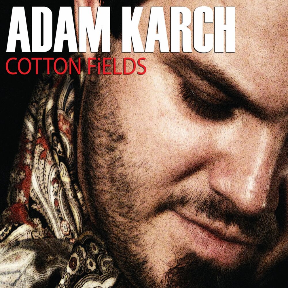 Picture of Cotton Fields
