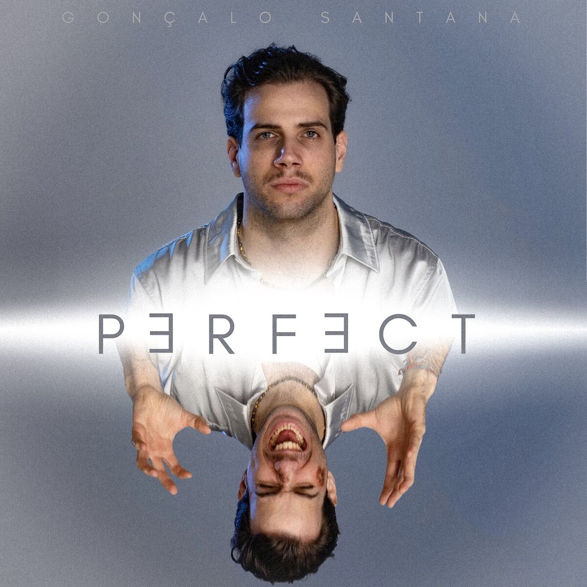 Album cover of Perfect