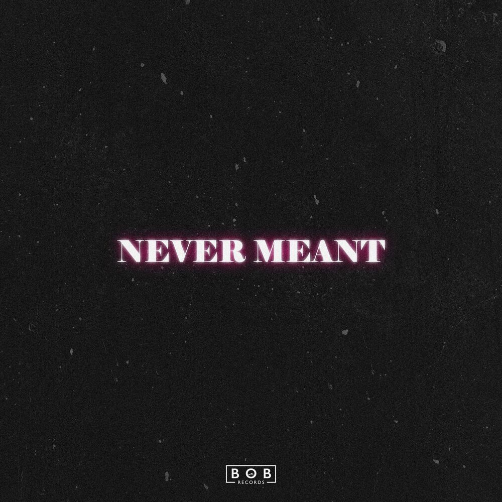 Picture of Never Meant