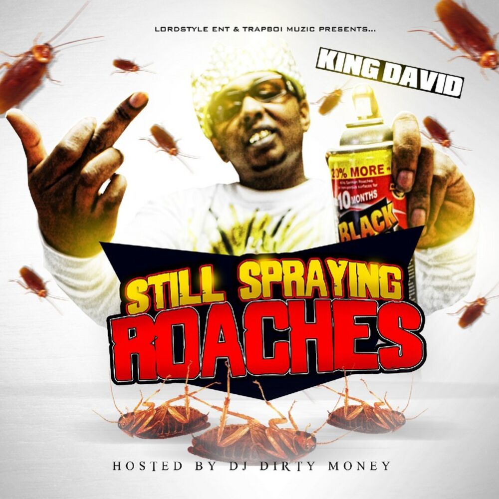 Picture of STILL Spraying Roaches