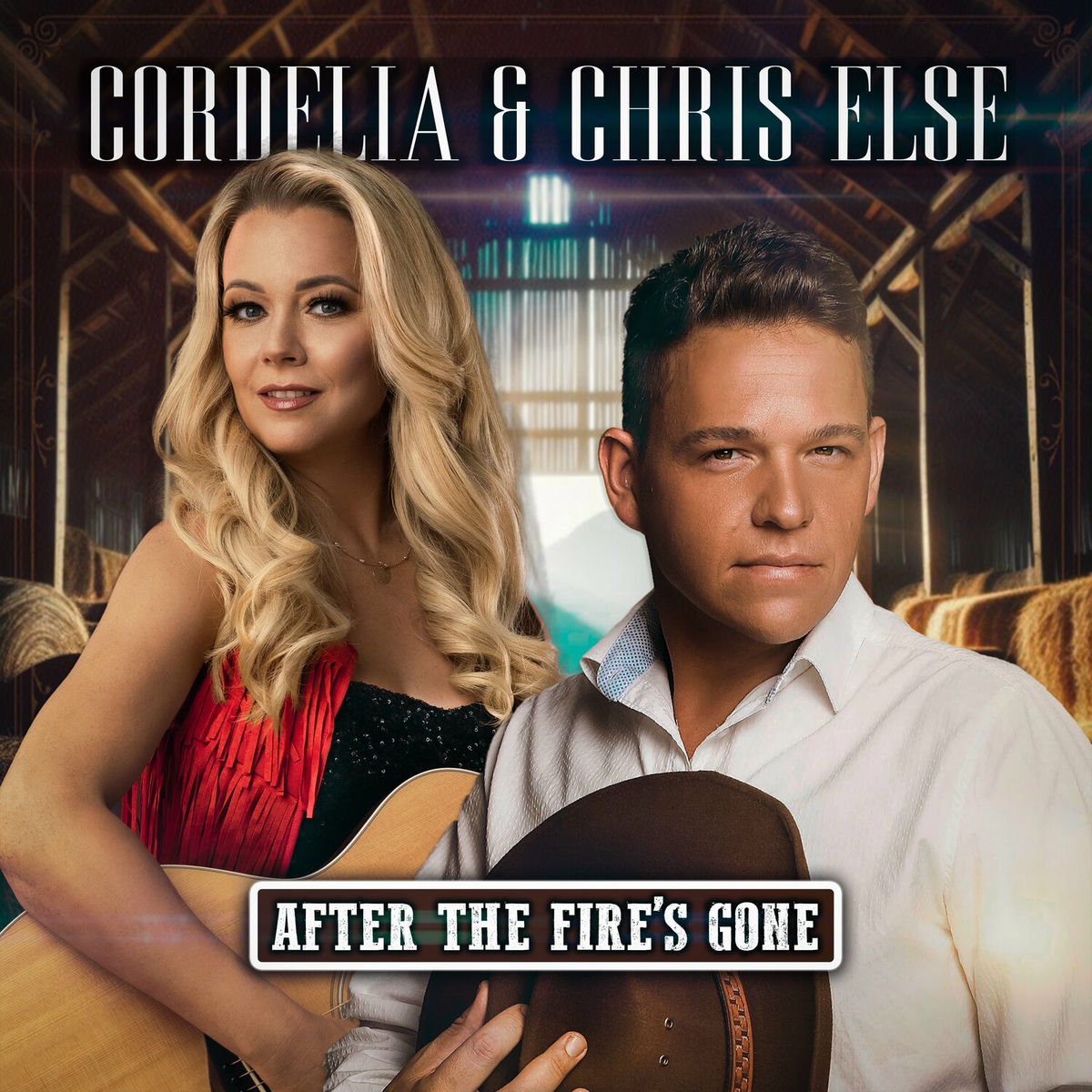 Album cover of After the Fire's Gone