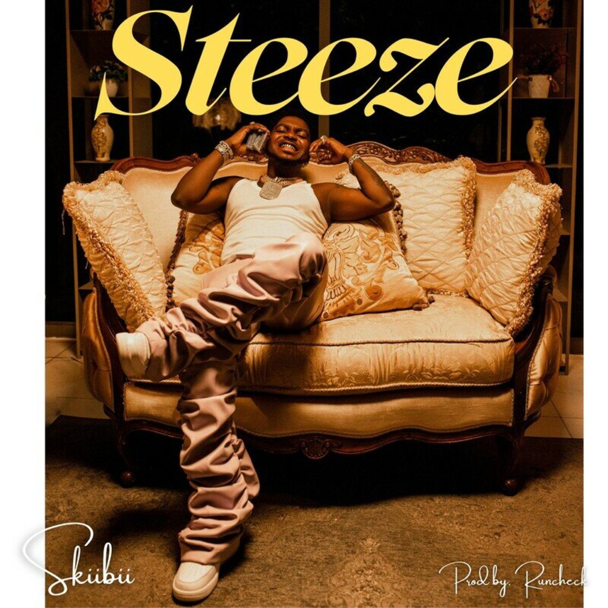 Album cover of Steeze
