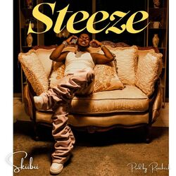 Cover of Steeze
