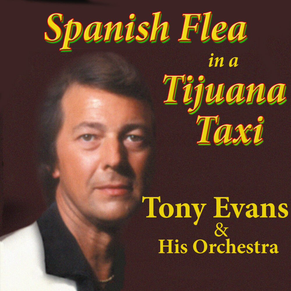 Picture of Spanish Flea in a Tijuana Taxi