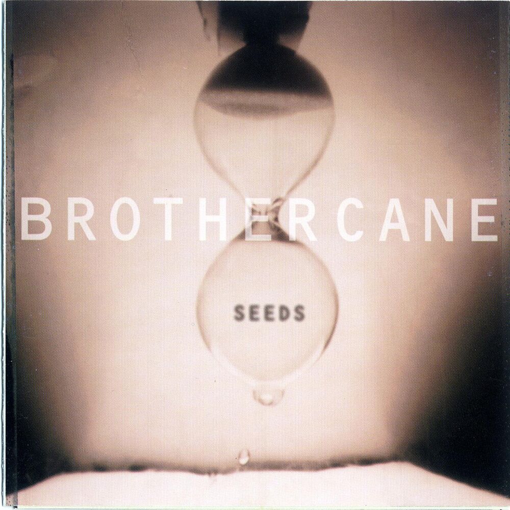 Picture of Seeds