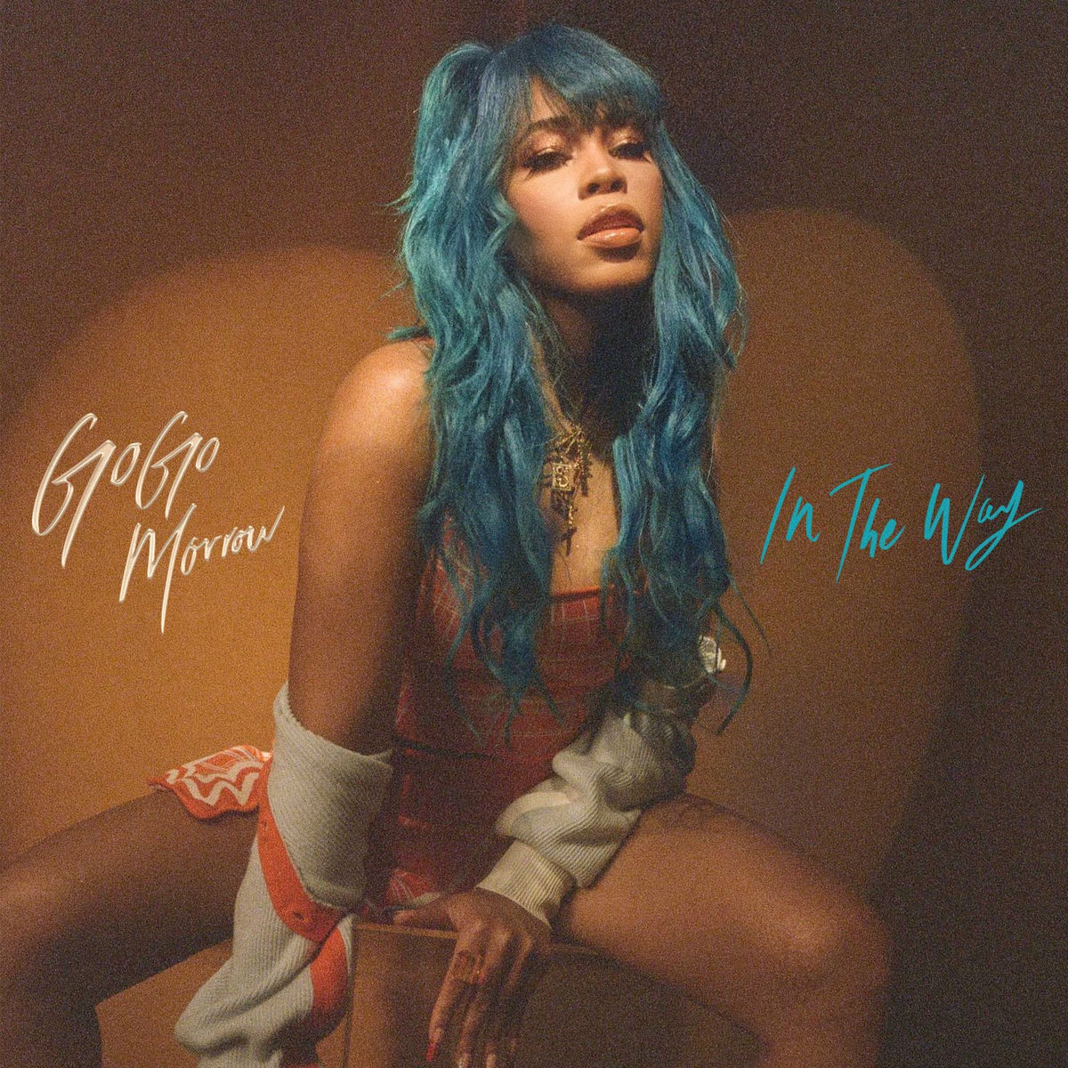 Album cover of In The Way