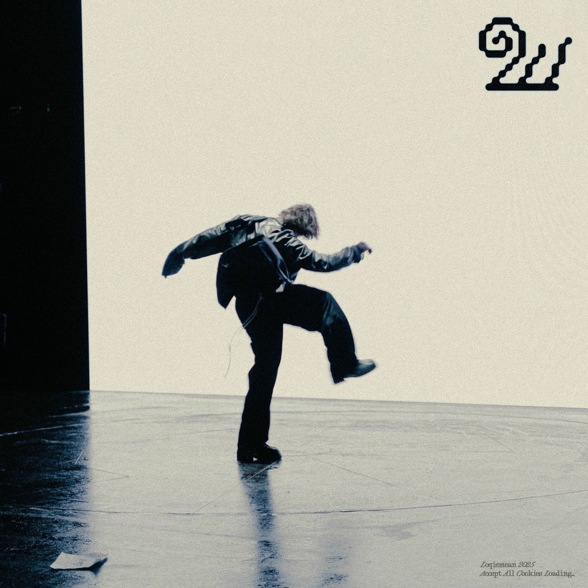 Album cover of ШМЫГА