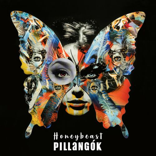 Pillangók Cover
