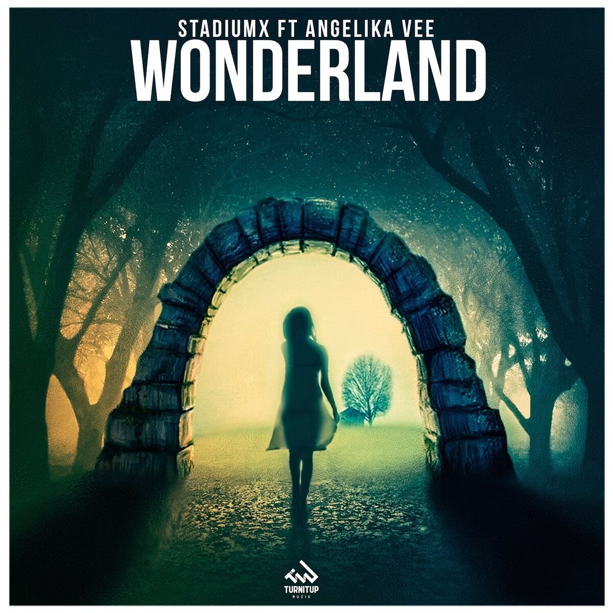 Album cover of Wonderland