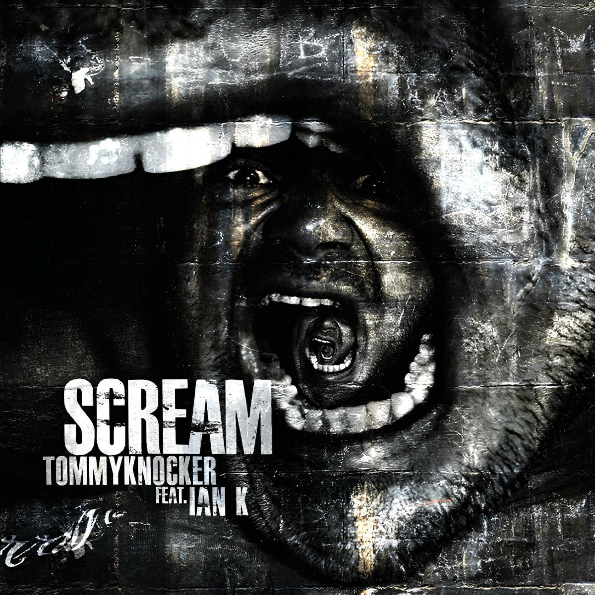 Album cover of Scream