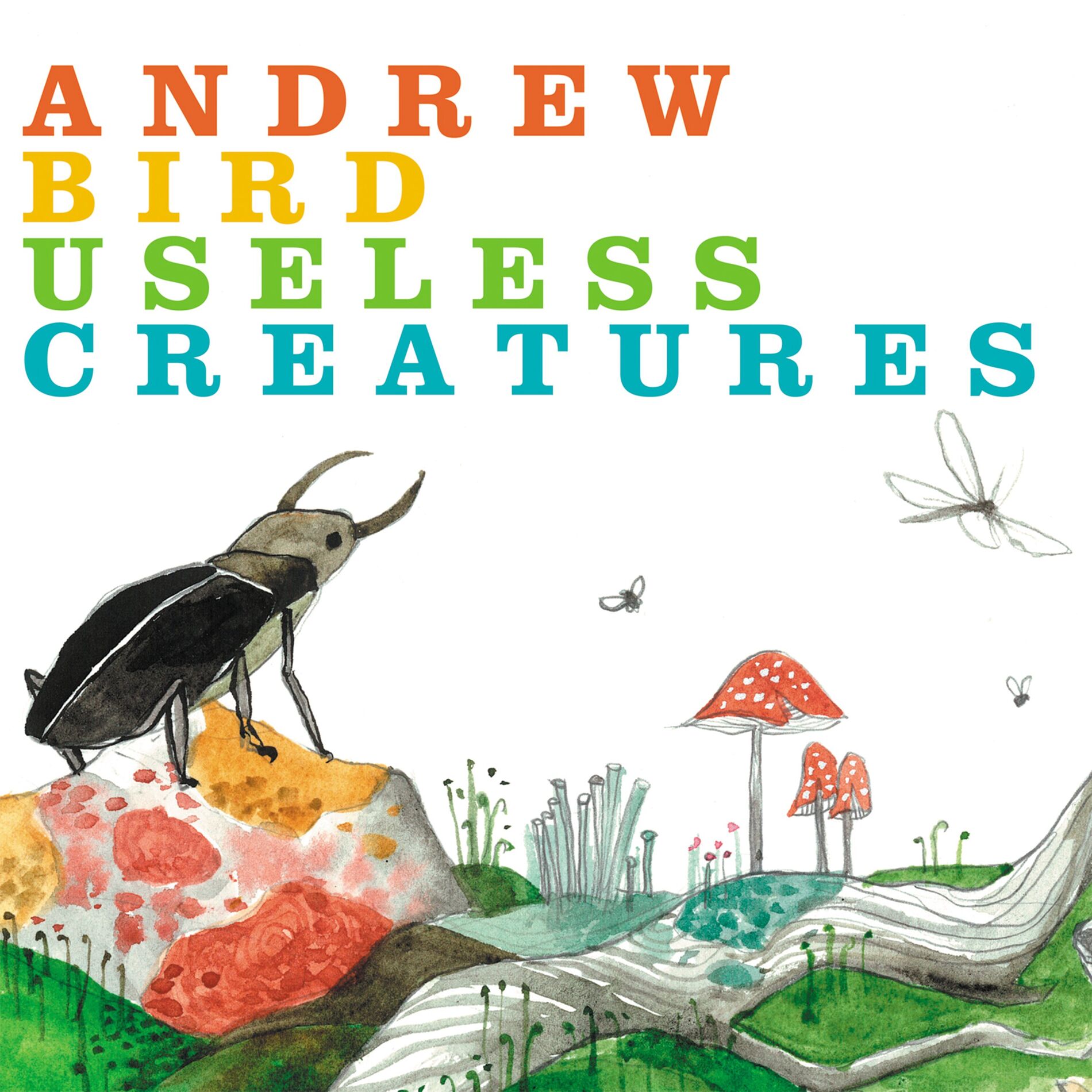 Album cover of Useless Creatures