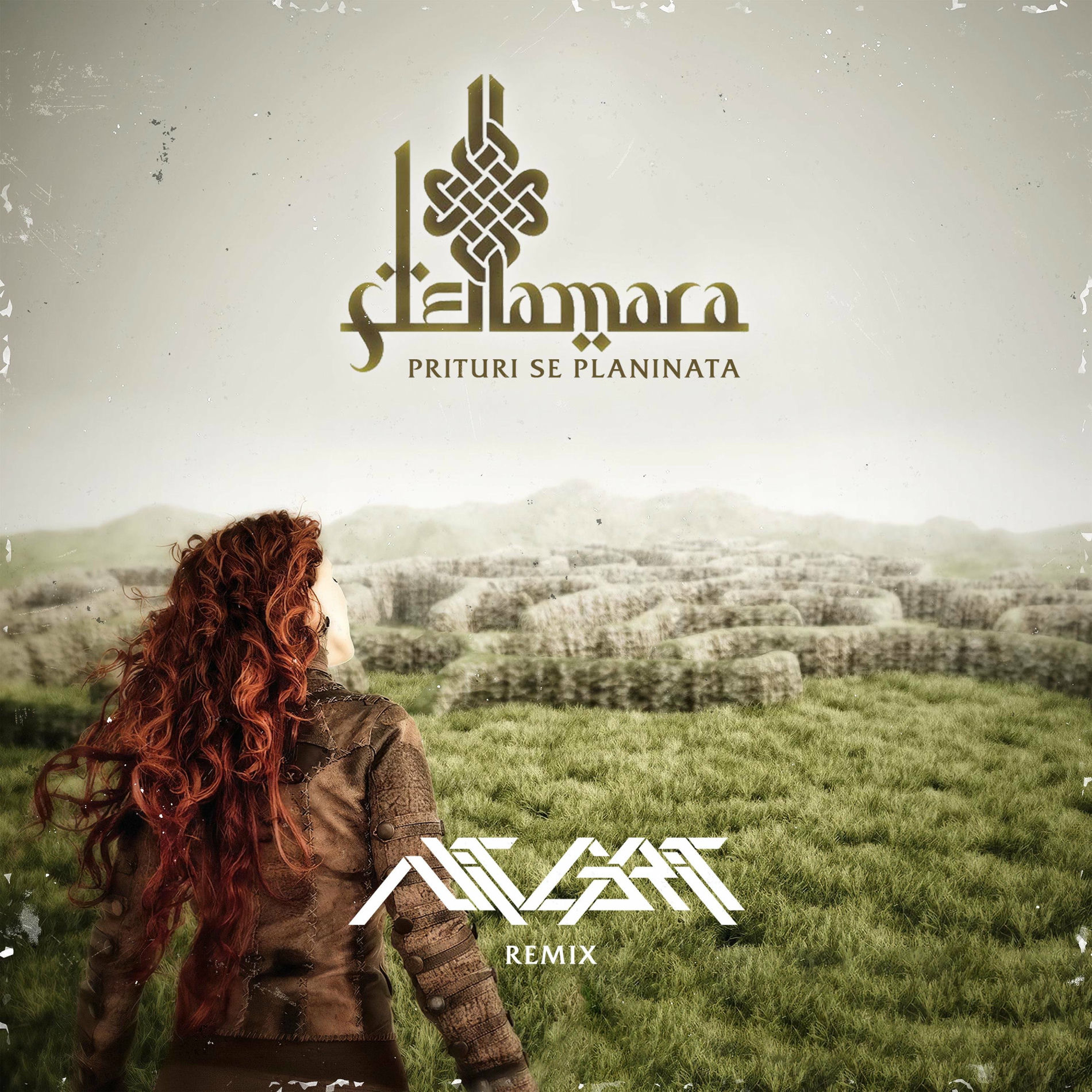 Album cover of Prituri Se Planinata (Nit Grit Remix)