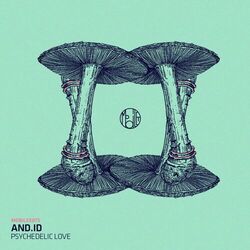 Cover of Psychedelic Love