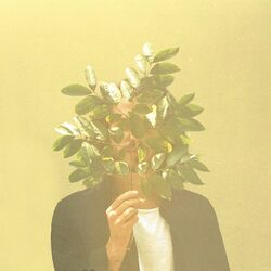 Cover of French Kiwi Juice