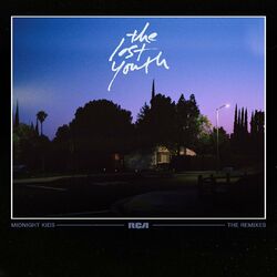 Cover of The Lost Youth (Remixes)