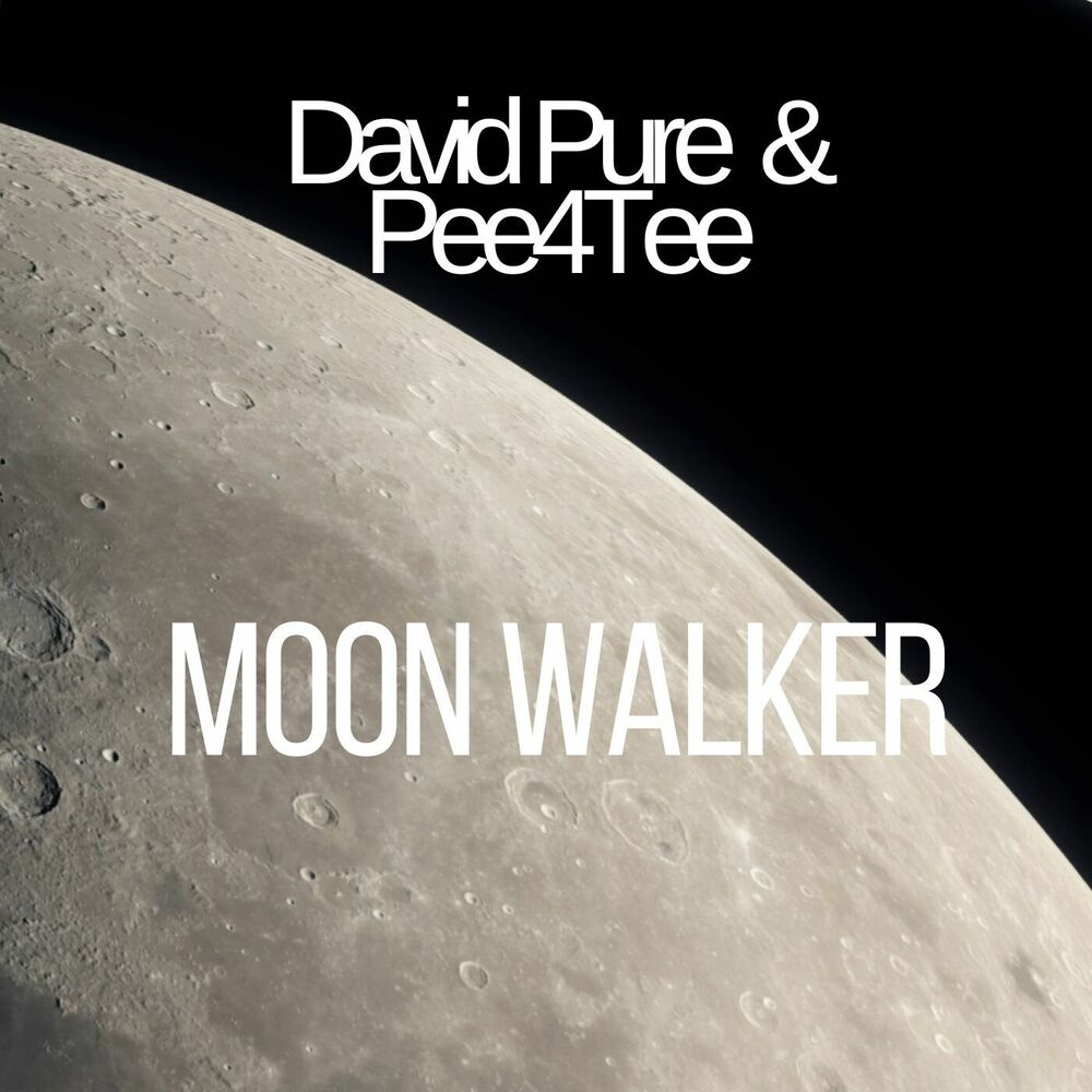 Picture of Moon Walker