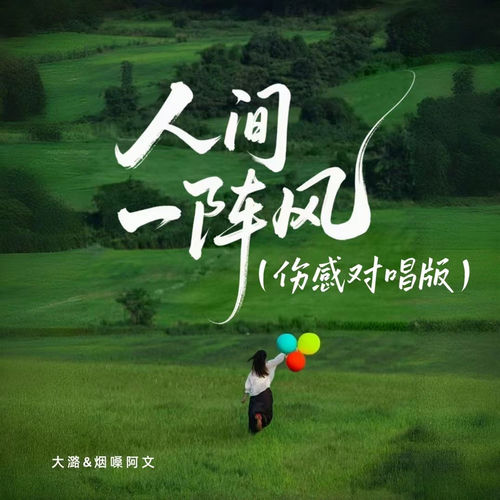 人间一阵风（伤感对唱版）