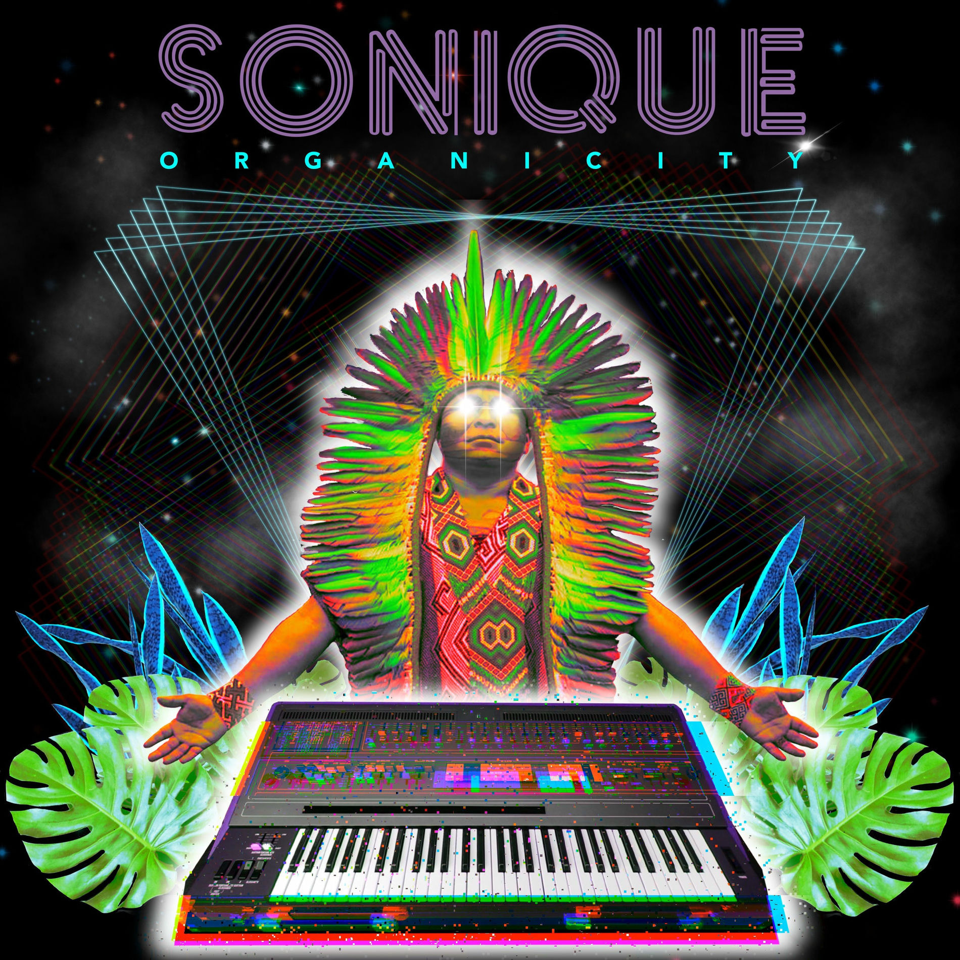 Album cover of Organicity