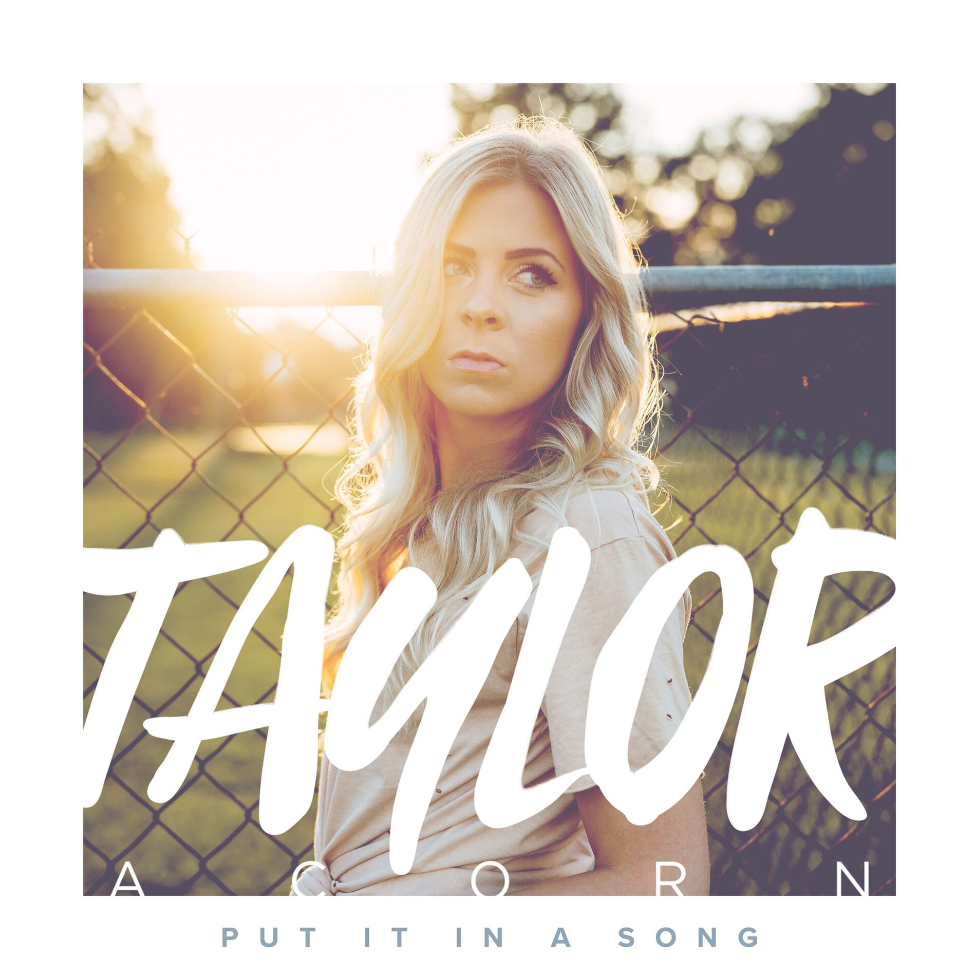 Album cover of Put It in a Song