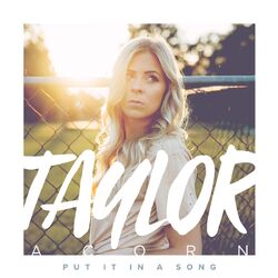 Cover of Put It in a Song