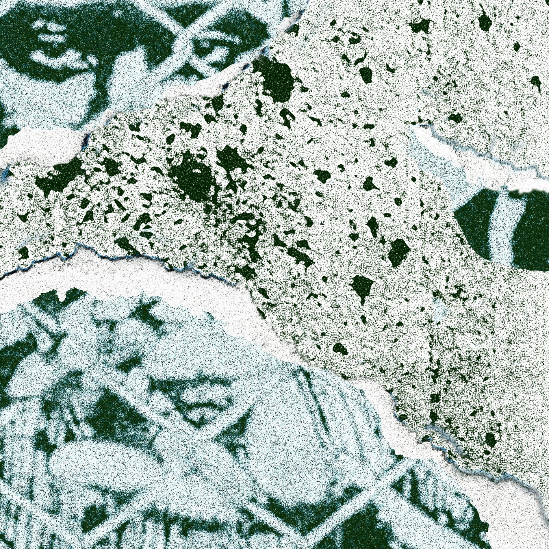 Album cover of CITAO
