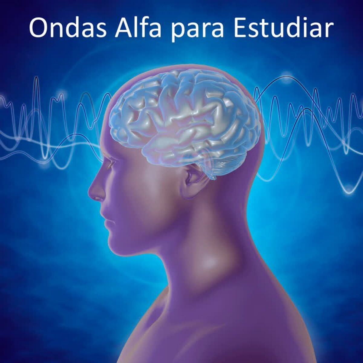 Album cover of Ondas Alfa para Estudiar