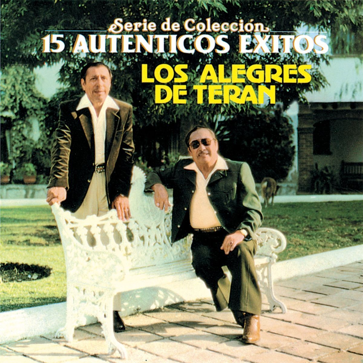 Album cover of Serie De Colección 15 Auténticos Éxitos