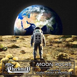 Cover of Moon Rocks