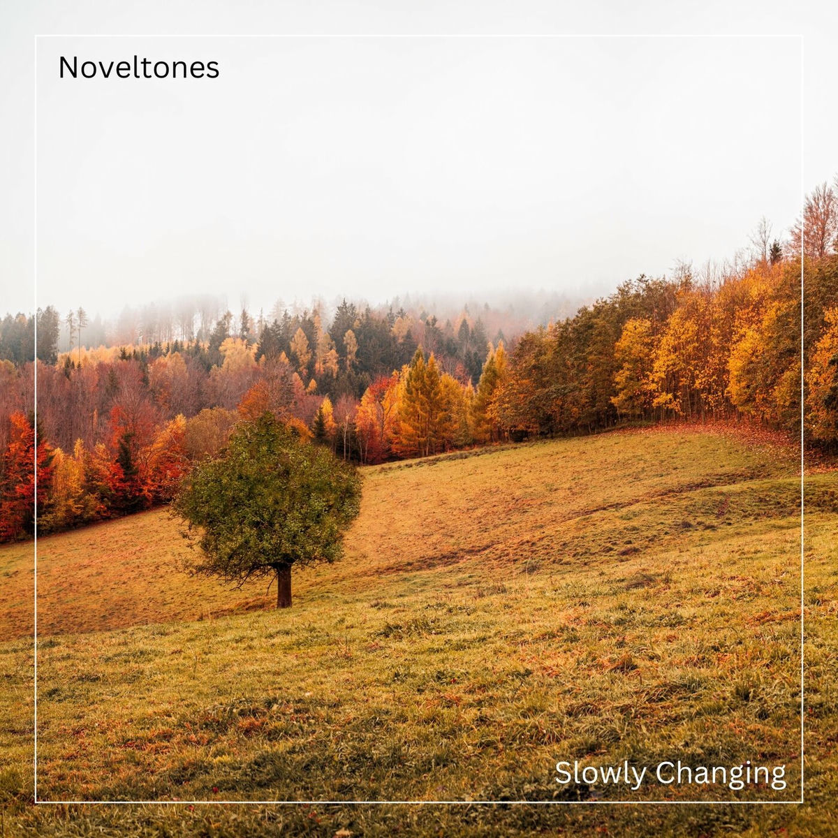 Album cover of Slowly Changing